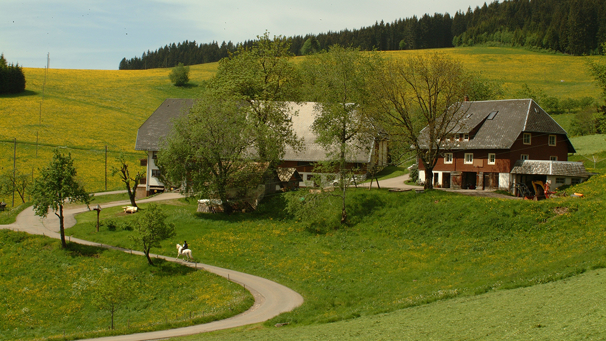 Bartleshof